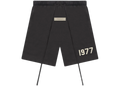 Fear of God Essentials Essentials Shorts 'Iron'(SS22)